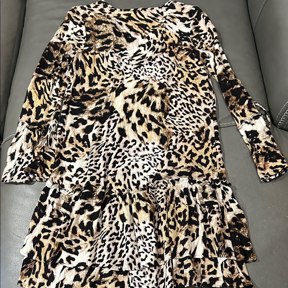 Banana Republic Leopard Print Drop-Waist Dress, size XS - Picture 4 of 4